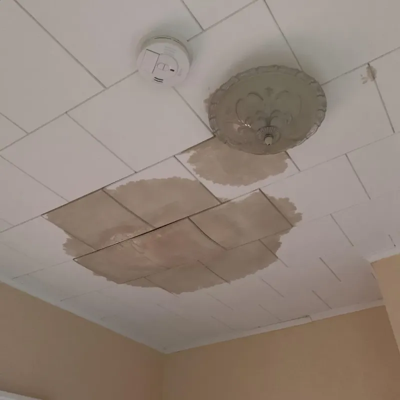 Ceiling Water Damage Repair in Marshfield, MO