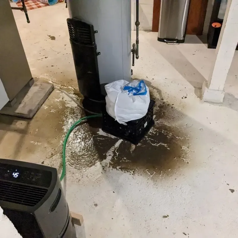 Sewage Backup Cleanup Service in Marshfield, MO